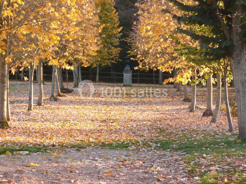 Location salle Sorel-Moussel (Eure-et-Loir) - Château De Sorel #14