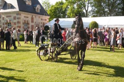 Miniature Location salle Sorel-Moussel (Eure-et-Loir) - Château De Sorel #3 Location salle Sorel-Moussel (Eure-et-Loir) - Château De Sorel #24