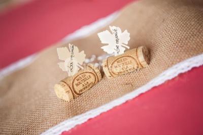 Location salle Givors (Rhône) - Hôtel Restaurant Caribou #24