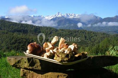 Location salle Aleu (Ariège) - Gîte la Bernadole #20