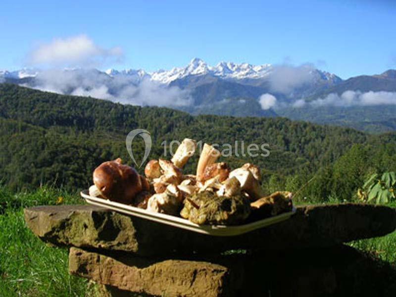 Location salle Aleu (Ariège) - Gîte la Bernadole #7