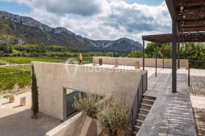 Un couple en tenue de mariage pose dans un champ d'oliviers sous une lumière douce.