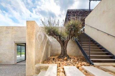 Un couple en tenue de mariage pose dans un champ d'oliviers sous une lumière douce.