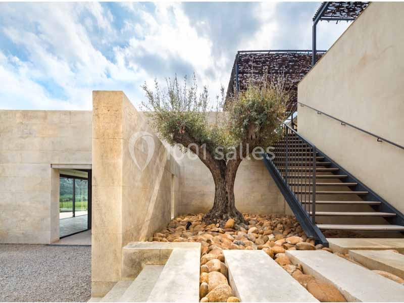 Un olivier entouré de pierres au centre d'une cour moderne avec des escaliers et des murs en béton clair.