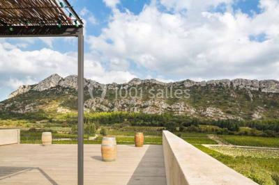 Un couple en tenue de mariage pose dans un champ d'oliviers sous une lumière douce.