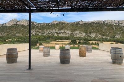 Un couple en tenue de mariage pose dans un champ d'oliviers sous une lumière douce.