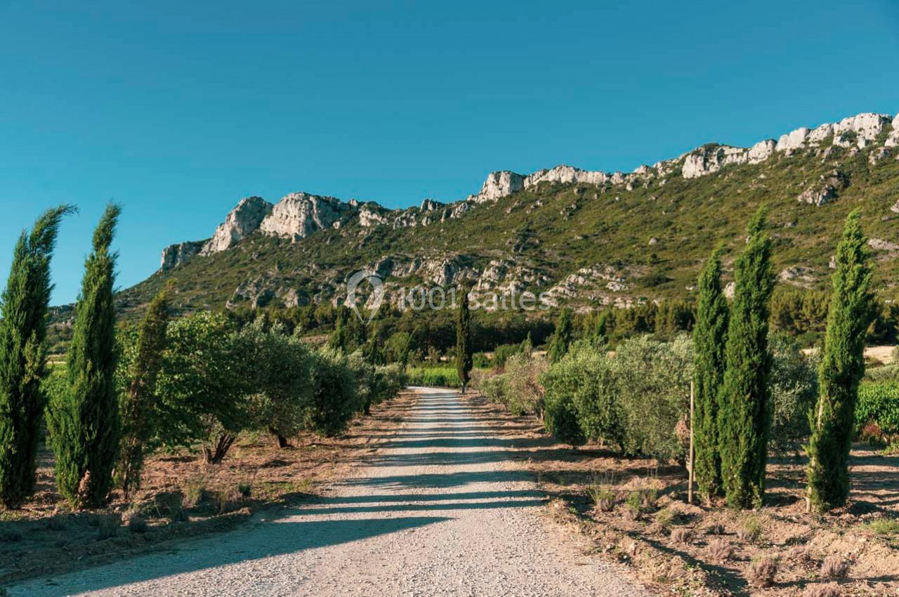 Chemin de terre bordé de cyprès et d'arbustes, menant vers une chaîne de collines sous un ciel dégagé.