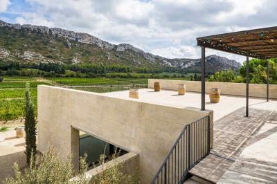 Un couple en tenue de mariage pose dans un champ d'oliviers sous une lumière douce.