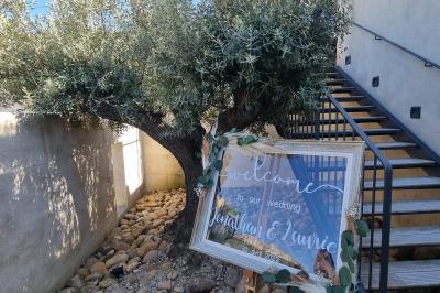 Un couple en tenue de mariage pose dans un champ d'oliviers sous une lumière douce.