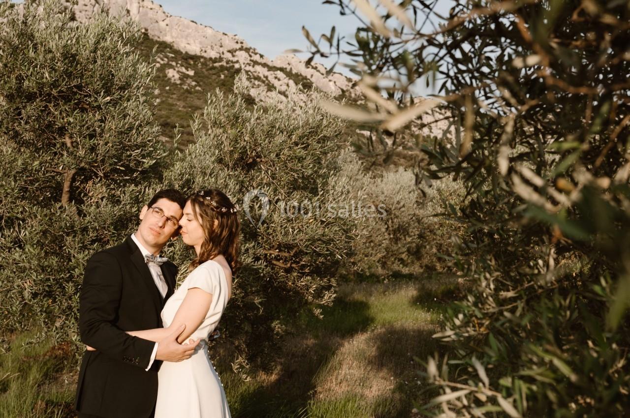 Un couple en tenue de mariage pose dans un champ d'oliviers sous une lumière douce.