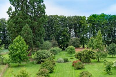 Banc en bois sous une arche décorée de feuilles d'automne, entouré de bougies et de feuilles au sol dans une salle rustique.