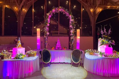 Table garnie de pâtisseries, macarons, fruits et biscuits, disposée en extérieur avec un jardin en arrière-plan.