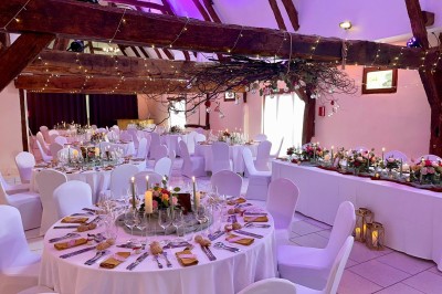 Table garnie de pâtisseries, macarons, fruits et biscuits, disposée en extérieur avec un jardin en arrière-plan.