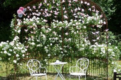 Location salle Boissise-la-Bertrand (Seine-et-Marne) - Domaine de l'Orangerie du Quai de Seine #35