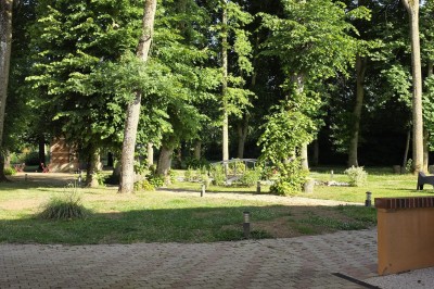 Choux noirs garnis de crème blanche et décorés de filet de caramel, disposés sur une surface métallique.