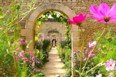 Écran lumineux affichant des images colorées dans un jardin fleuri à la tombée de la nuit.