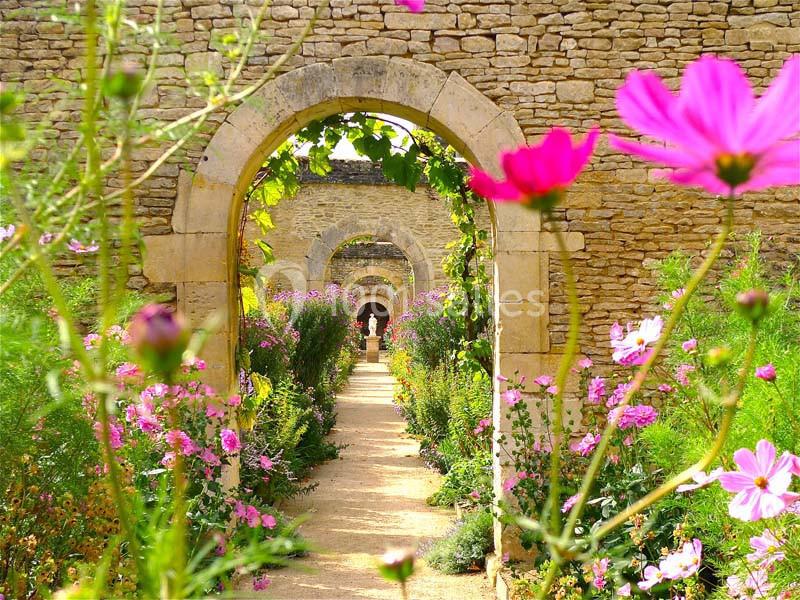 Allée fleurie bordée de cosmos roses menant à une série d'arcs en pierre dans un jardin.