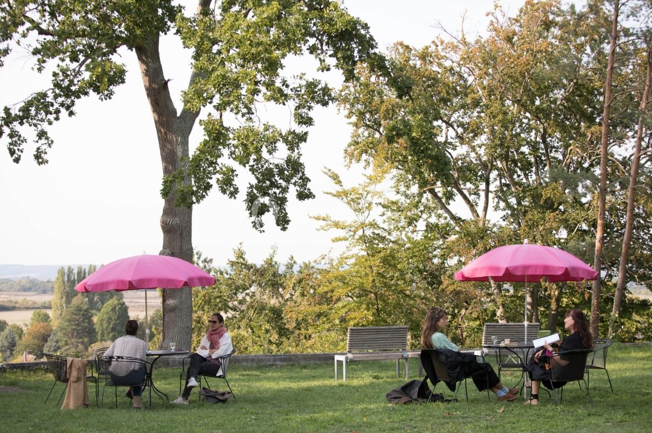 Personnes assises sous des parasols roses dans un parc verdoyant, discutant ou lisant près d'arbres et d'une vue dégagée.