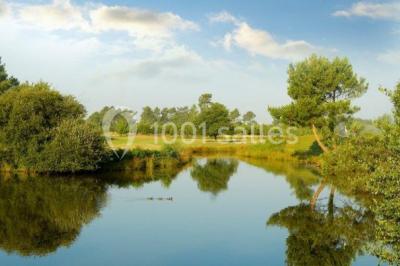 Location salle Pessac (Gironde) - Golf de Pessac #14