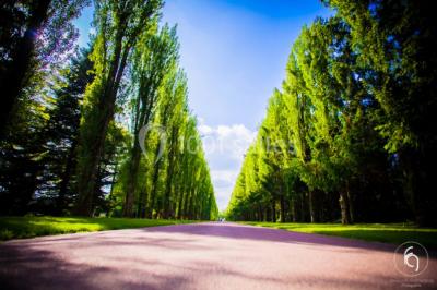 Domaine De La Muette - Rftp Domaine De La Muette - Rftp