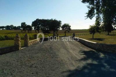 Chemin de gravier bordé de murets en pierre, menant à un paysage rural avec champs et arbres.