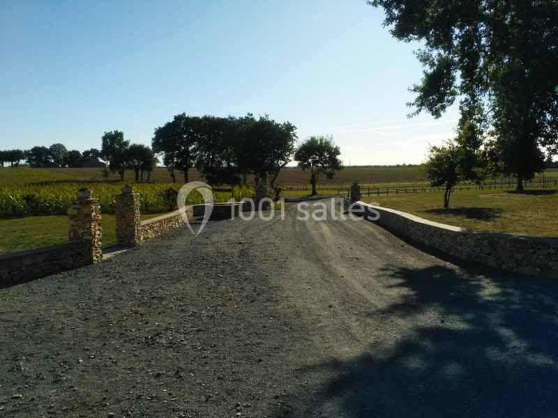Chemin de gravier bordé de murets en pierre, menant à un paysage rural avec champs et arbres.