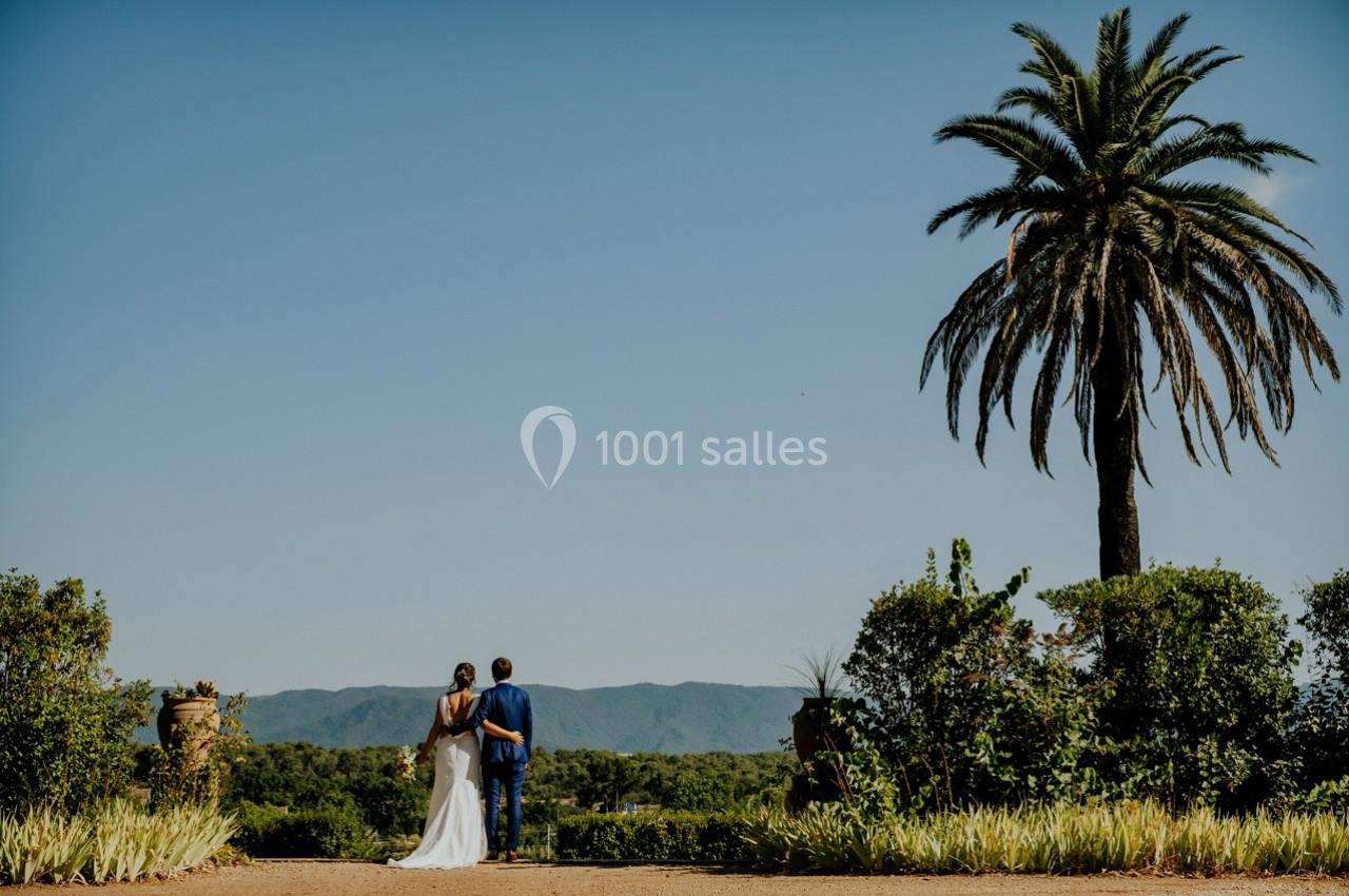 Un couple de dos, en tenue de mariage, regarde un paysage verdoyant avec une grande palme sous un ciel dégagé.