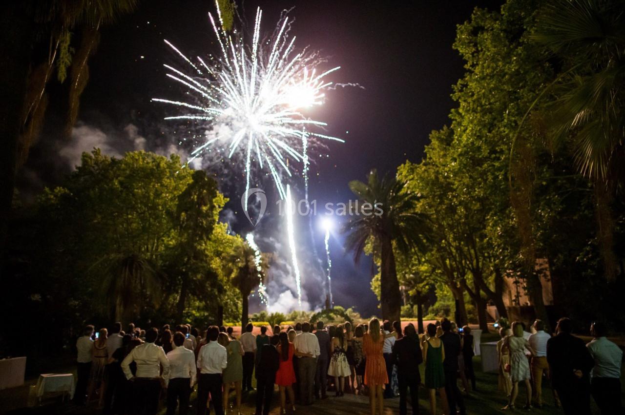 Groupe de personnes regardant un feu d'artifice dans un jardin, entouré d'arbres, en soirée.