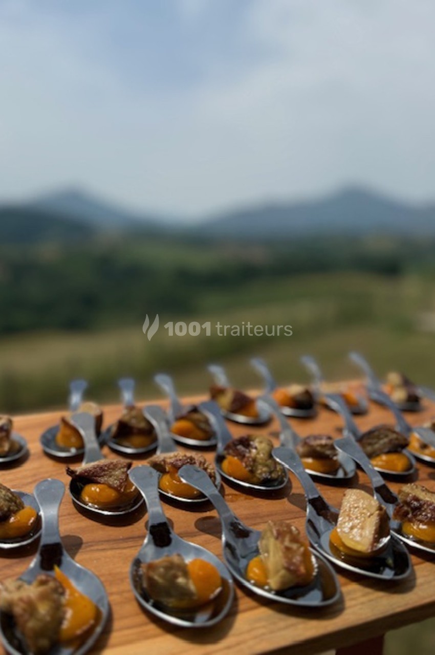Cuillères en métal garnies de morceaux de viande et de purée orange, disposées sur une planche en bois en extérieur.