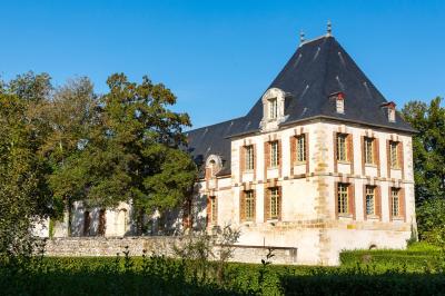 Location salle Augerville-la-Rivière (Loiret) - Château d'Augerville #20