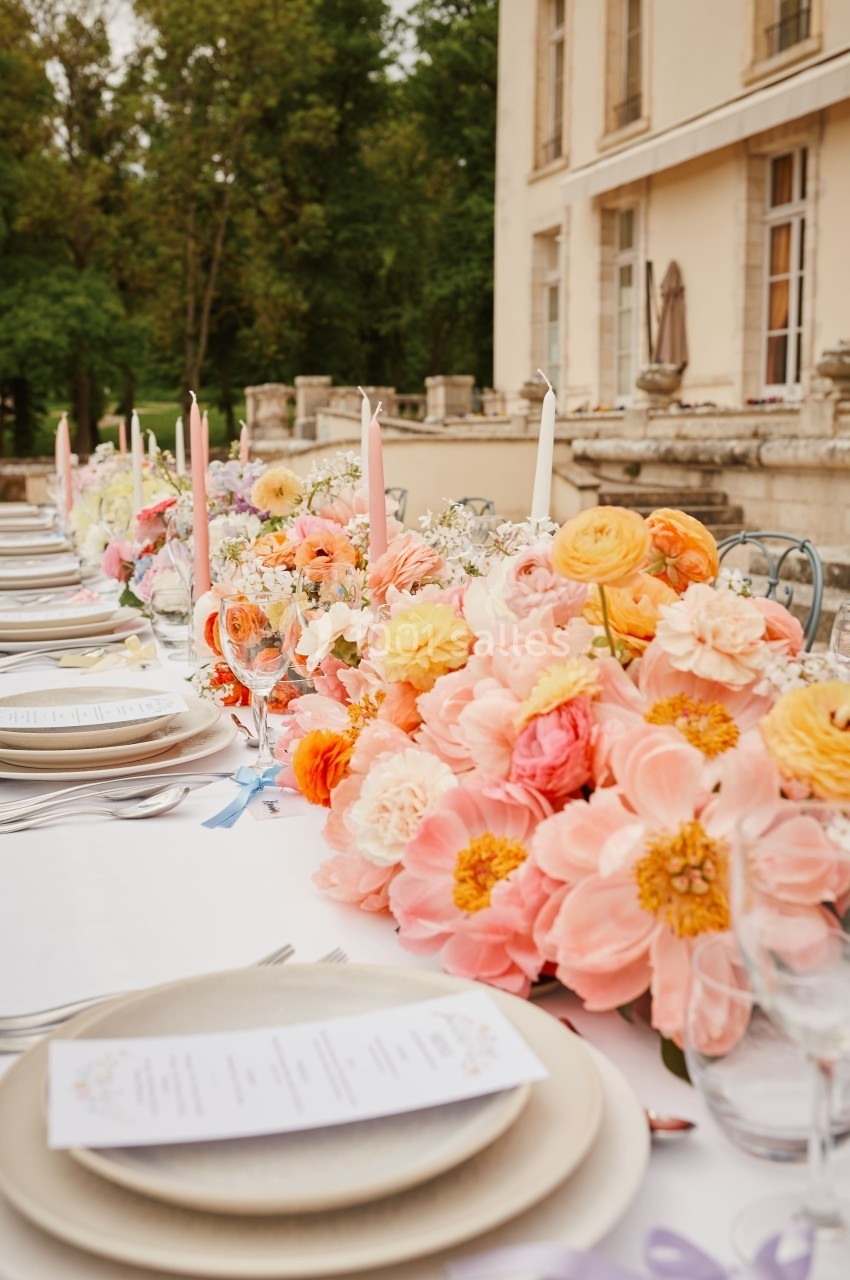 Location salle Augerville-la-Rivière (Loiret) - Château d'Augerville #29