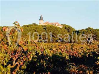 Location salle Narbonne (Aude) - Château Capitoul #22