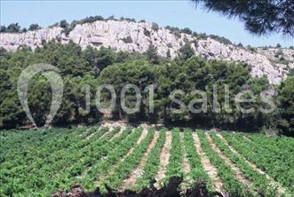 Location salle Narbonne (Aude) - Château Capitoul #22