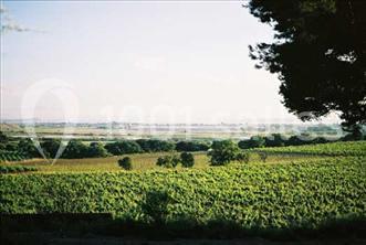 Location salle Narbonne (Aude) - Château Capitoul #22