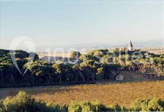 Location salle Narbonne (Aude) - Château Capitoul #21