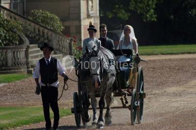 Salle de réception décorée avec des tables rondes, nappes blanches, chaises assorties et ornements dorés.