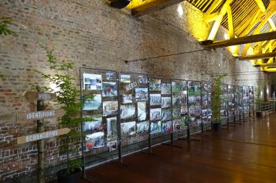 Vue d'un marché couvert avec des stands de produits locaux, des visiteurs et une architecture en pierre et bois.