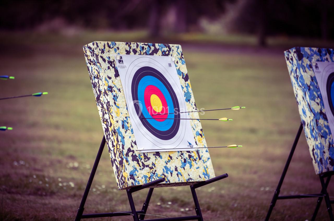 Cible d'archerie avec plusieurs flèches plantées, installée sur un support dans un espace extérieur herbeux.