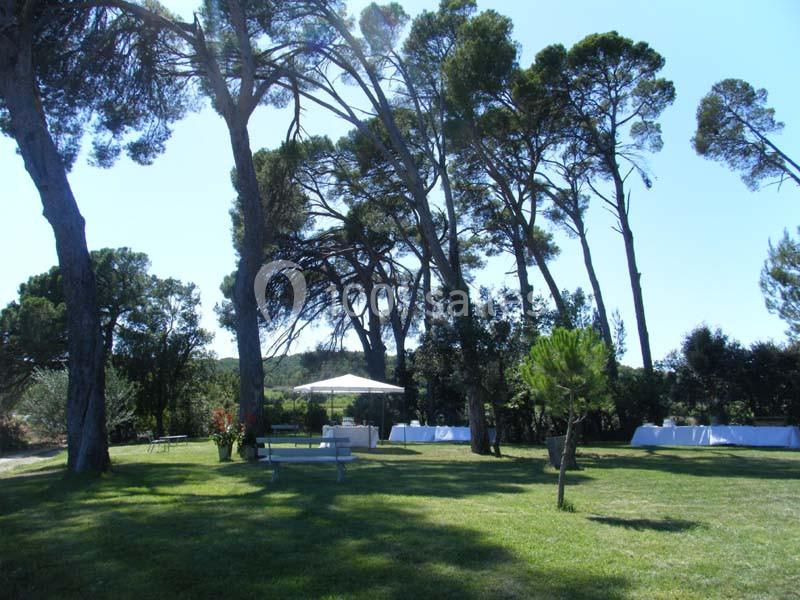 Pelouse ombragée par des pins avec des tables et un parasol blanc en arrière-plan, par une journée ensoleillée.