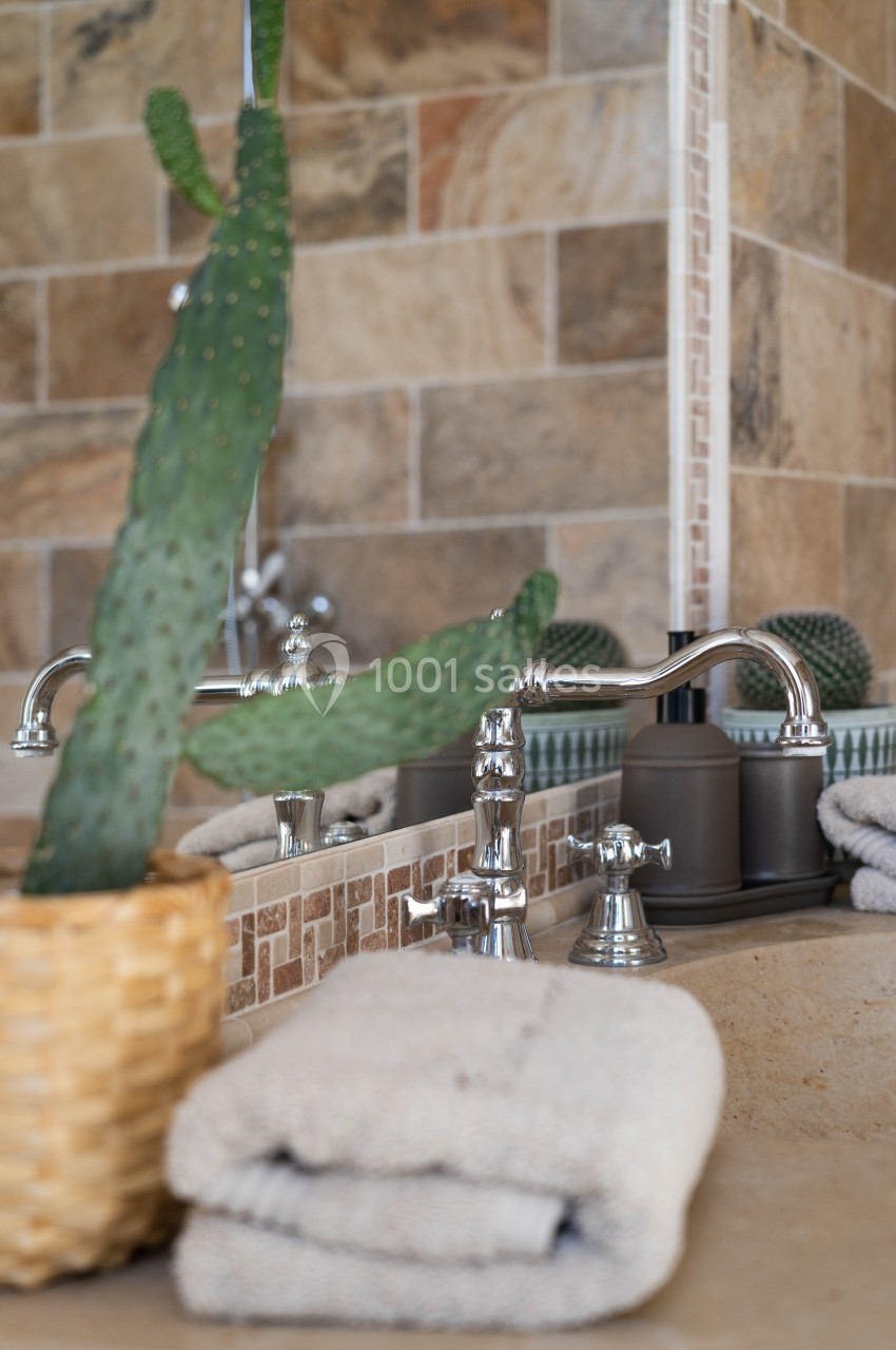 Un lavabo avec robinetterie chromée, décoré d'une plante en pot et de serviettes pliées sur un plan en pierre.