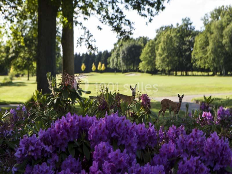 Location salle La Queue-les-Yvelines (Yvelines) - Château de la Couharde #14