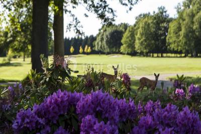 Location salle La Queue-les-Yvelines (Yvelines) - Château de la Couharde - Golf des Yvelines #23