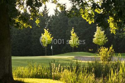 Location salle La Queue-les-Yvelines (Yvelines) - Château de la Couharde - Golf des Yvelines #23