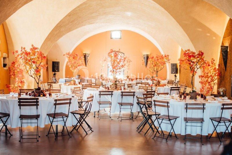 Location salle Montblanc (Hérault) - Château de Coussergues #12