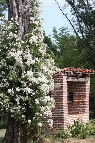 Location salle Merville (Haute-Garonne) - Domaine Beausoleil #24