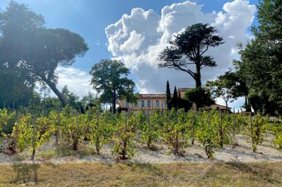 Domaine Beausoleil Domaine Beausoleil