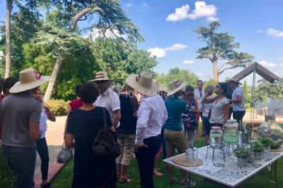 Location salle Merville (Haute-Garonne) - Business Meeting By Beausoleil #30