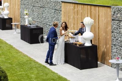 Location salle La Boissière-sur-Èvre (Maine-et-Loire) - Domaine de Marie #28