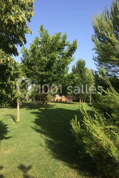 Un parc verdoyant avec des arbres et une pelouse sous un ciel bleu clair.