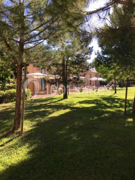 Jardin arboré avec pelouse, ombre des arbres et bâtiment en arrière-plan sous un ciel ensoleillé.